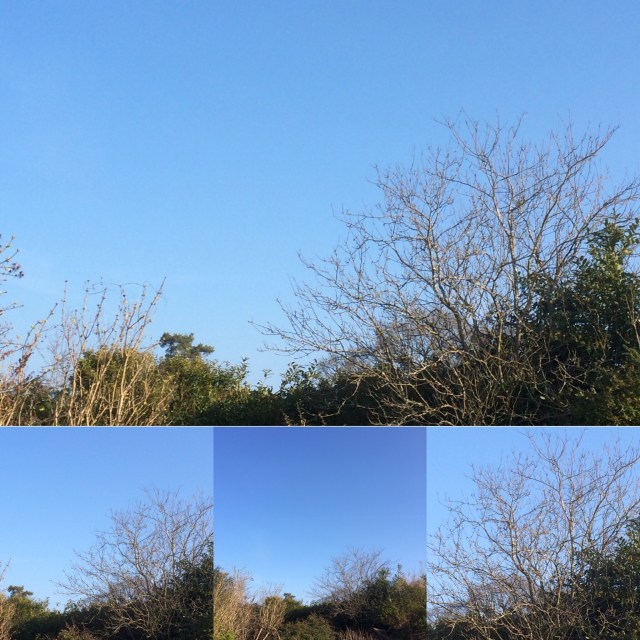 016f4a00-2d5d-4b02-a2e2-e668a7579a2d-1